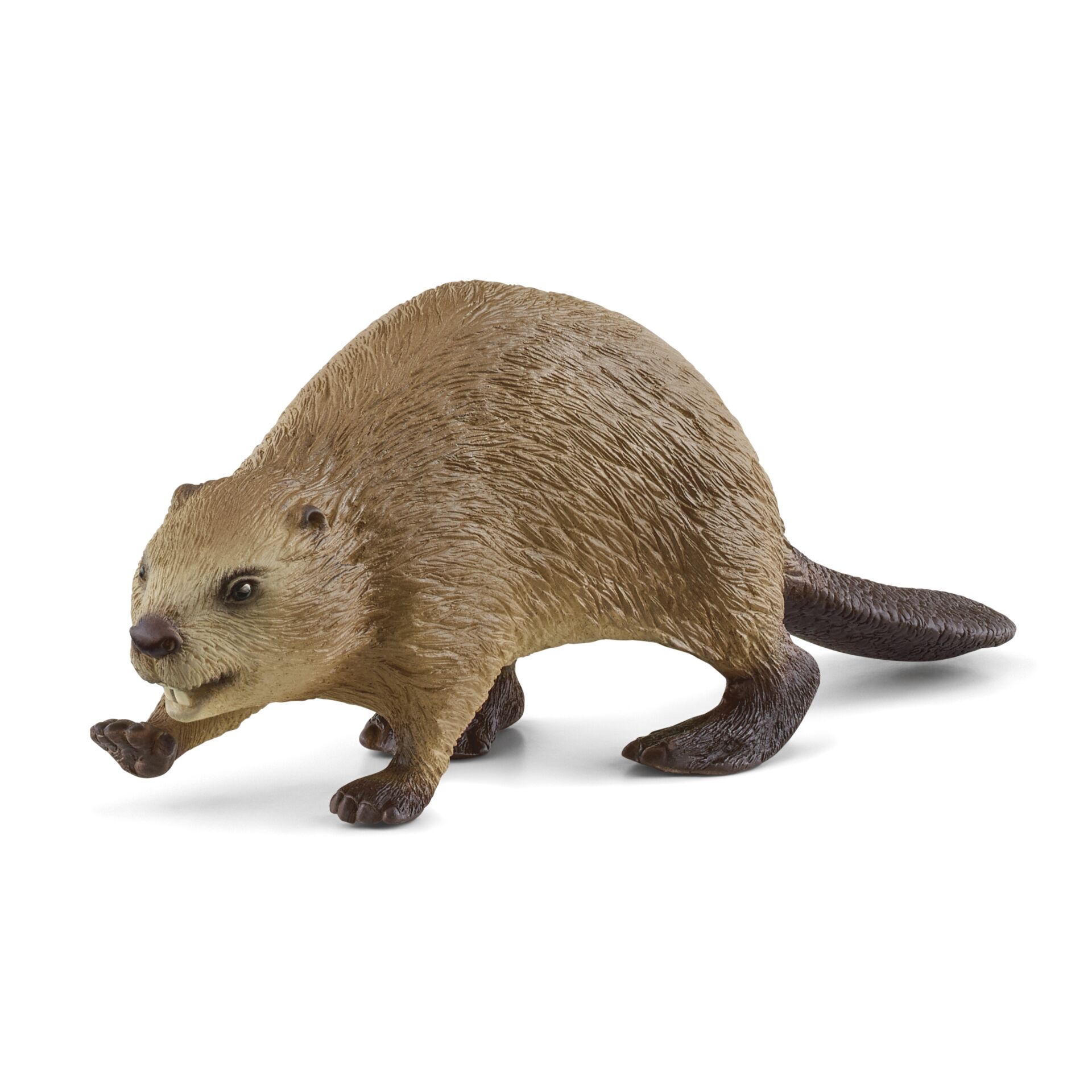 Schleich Wild Life – Bæver (14855)