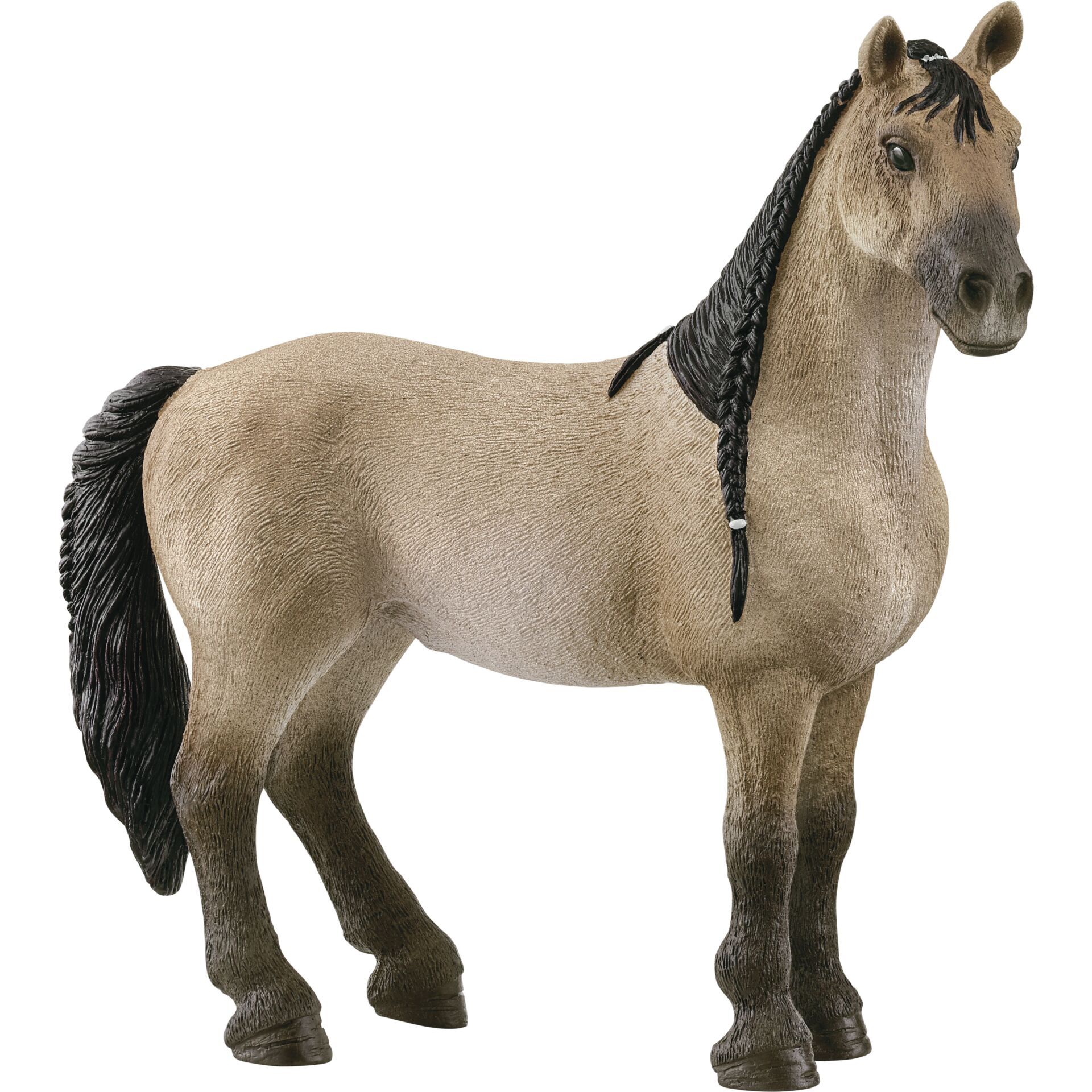 Schleich Horse Club – Criollo Definitivo-hoppe (13948)