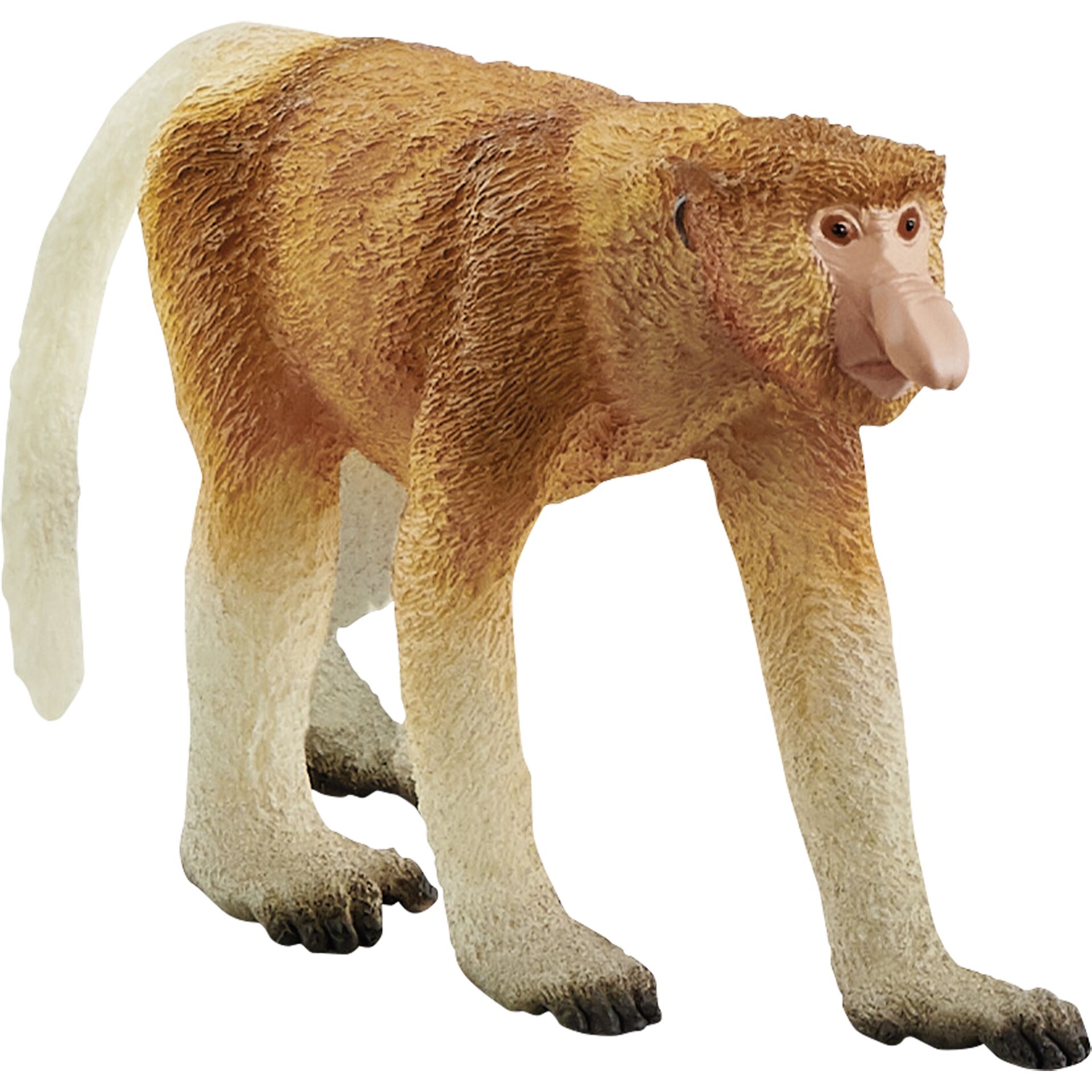 Schleich Wild Life – Næseabe (14846)